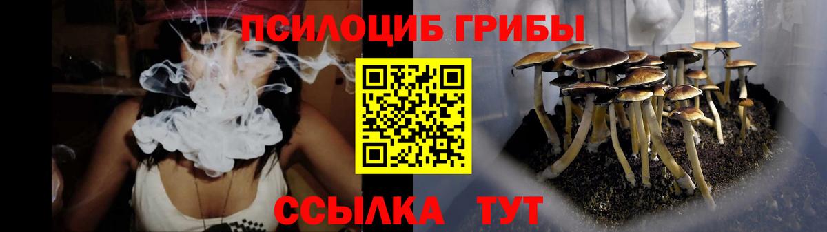 Псилоцибиновые грибы MAGIC MUSHROOMS  Вход с VPN  Пугачёв 